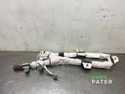 Airbag Dach rechts Tesla Model X 5YJX 103675900G