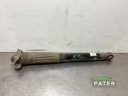Stoßdämpfer links hinten MG 4 10932514