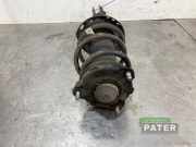 Federbein rechts vorne Kia Niro I DE D20R54661G5200