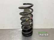 Feder hinten Fiat Panda 312, 319