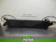 Ladeluftkühler Ford Mondeo IV Turnier BA7 6G919L440FC