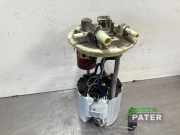 Kraftstoffpumpe Opel Ampera D1JOI 13583977