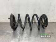 Feder hinten Tesla Model 3 5YJ3