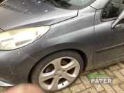 Kotflügel links vorne Peugeot 207 CC