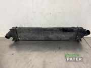 Ladeluftkühler Ford S-Max I WA6 6G919L440FC