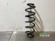 Feder hinten Toyota C-HR X1