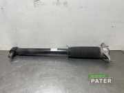 Stoßdämpfer links hinten Tesla Model 3 5YJ3 104446101E