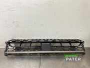 Lüftungsgitter für Stoßfänger Audi Q2 GA 81A807647K