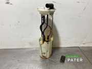 Kraftstoffpumpe Peugeot Boxer Kasten 0580203195