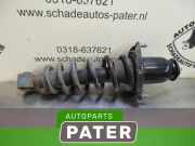 Federbein links hinten Toyota Avensis Stufenheck T25