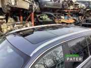 Schiebedach BMW 3er Touring F31