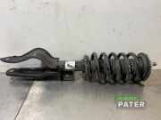 Federbein links vorne Tesla Model 3 5YJ3 104436300F