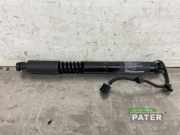Heckklappendämpfer links Tesla Model X 5YJX 106344100C