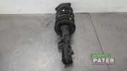 Federbein links vorne Kia Sportage 3 SL 546513U000
