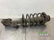 Federbein links vorne Hyundai i10 PA 54650600X100