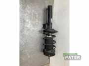 Federbein rechts vorne Audi Q2 GA 5Q0413031GN