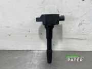 Zündspule Nissan Qashqai II J11 R3303C00100