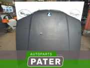 Motorhaube BMW 3er E46
