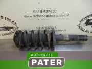 Federbein links vorne VW Passat B6 3C2