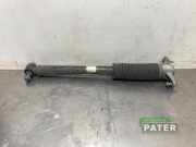 Stoßdämpfer links hinten Tesla Model 3 5YJ3 104446101E
