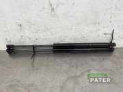 Heckklappendämpfer Fiat Panda 312, 319 56070