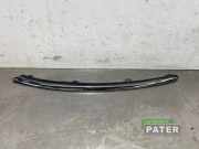 Zierleiste Citroen C4 II Picasso C064520911SMO22