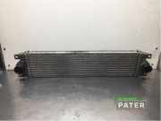 Ladeluftkühler Renault Master II Kasten FD 874806M