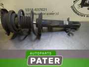Federbein rechts vorne Mini Mini R50, R53