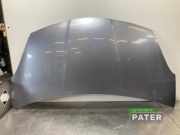 Motorhaube Nissan Pixo UA0 651004A00C