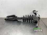 Federbein links vorne Tesla Model 3 5YJ3 104436300F