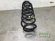 Feder hinten Opel Crossland X P17