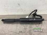 Heckklappendämpfer rechts Tesla Model 3 5YJ3 171486600D