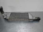 Ladeluftkühler Opel Combo C Kasten 24466787