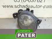 Nebelscheinwerfer links vorne Renault Clio II B 8200002469