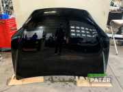 Motorhaube Tesla Model X 5YJX