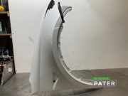 Kotflügel rechts vorne Tesla Model Y 5YJY