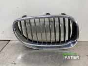 Kühlergrill rechts BMW 5er Touring E61 51137027062AI