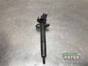 Einspritzdüse Land Rover Range Rover Sport II L494 FW939K546AB