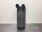 Ladeluftkühler Peugeot Partner II Kasten 9800291280