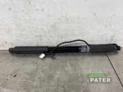 Heckklappendämpfer links Tesla Model X 5YJX 513634