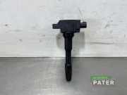 Zündspule Nissan Qashqai II J11 R3303C00100