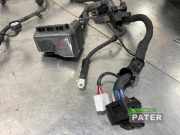 Kabelbaum Kia Niro I DE 91660Q4010