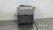 Audio-Verstärker Opel Ampera D1JOI 20760438