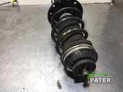 Federbein links vorne Fiat Panda 312, 319 00519265200