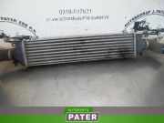 Ladeluftkühler Fiat Grande Punto 199