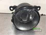 Nebelscheinwerfer rechts vorne Renault Scenic II JM 8200074008