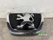 Kühlergrill Peugeot 207 18C0001030