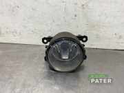 Nebelscheinwerfer links vorne Dacia Logan MCV KS 8200074008