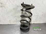 Feder hinten Tesla Model 3 5YJ3 104447200G