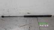 Gasdruckfeder Opel Crossland X P17 13478957